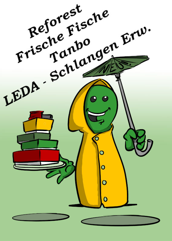VERSCHIEDENE NEUE SPIELE